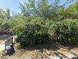  homosassa,  FL 34446