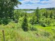 grass lake,  MI 49240