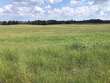 2620 co rd 1435, vinemont,  AL 35179