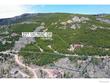 227 micmac dr, red feather lakes,  CO 80545