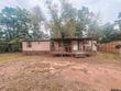 41 pr 52000, pittsburg,  TX 75686