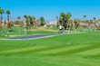 palm desert,  CA 92211
