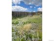 505 granite rd, bellvue,  CO 80512