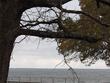1401 rs county road 1530
                                ,Unit 1530, point,  TX 75472