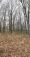239 crabtree ln, bowling green,  KY 42103