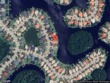  tampa,  FL 33647