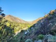 32160 poudre canyon rd, bellvue,  CO 80512