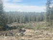  clam gulch,  AK 99568