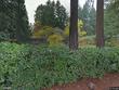 275 sw birdshill rd, portland,  OR 97219