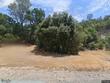  mokelumne hill,  CA 95245