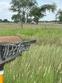 11227 n conway ave, mission,  TX 78573