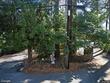 4357 southshore blvd, lake oswego,  OR 97035