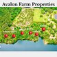 lot5 6577 co rd 201, crane hill,  AL 35053
