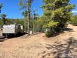 395 micmac dr, red feather lakes,  CO 80545