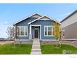 4517 parkline st, timnath,  CO 80547