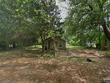 854 county road 103, jasper,  TX 75951