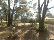  zephyrhills,  FL 33541