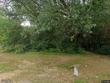  crestview,  FL 32539