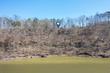 lot 7 flat rock cove, crane hill,  AL 35053