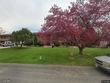 3328 mcconnell dr, laporte,  CO 80535