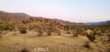  apple valley,  CA 92307