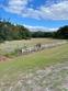  lutz,  FL 33558