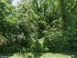  commerce township,  MI 48382