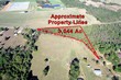  pittsburg,  TX 75686