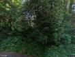 17020 tracy ave, lake oswego,  OR 97035