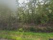  graceville,  FL 32440