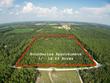  bell,  FL 32619