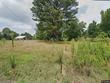  hanceville,  AL 35077
