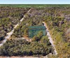  new port richey,  FL 34654