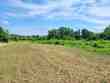 hopewell rd, hanceville,  AL 35077