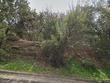4907 bull mountain cv, austin,  TX 78746