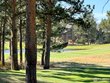 2221 e fox acres dr e, red feather lakes,  CO 80545