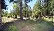  shaver lake,  CA 93664