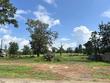 lots 97-100 tbd county road 2121, pittsburg,  TX 75686