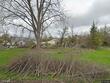  saginaw,  MI 48601