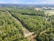 4811 county road 565, hanceville,  AL 35077