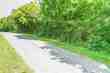 290 co rd 1123, vinemont,  AL 35179
