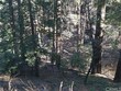  cedarpines park,  CA 92322