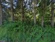 12192 s mulino rd, canby,  OR 97013