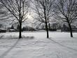  livonia,  MI 48150