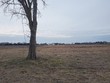 752 rs county road 1430, point,  TX 75472