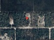  o brien,  FL 32071