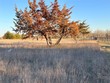 5000 wallis rd, bryan,  TX 77808