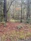county road 065, jasper,  TX 75951
