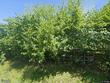 732 detour rd, bowling green,  KY 42101