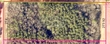 4.7 acres co rd 1453, vinemont,  AL 35179